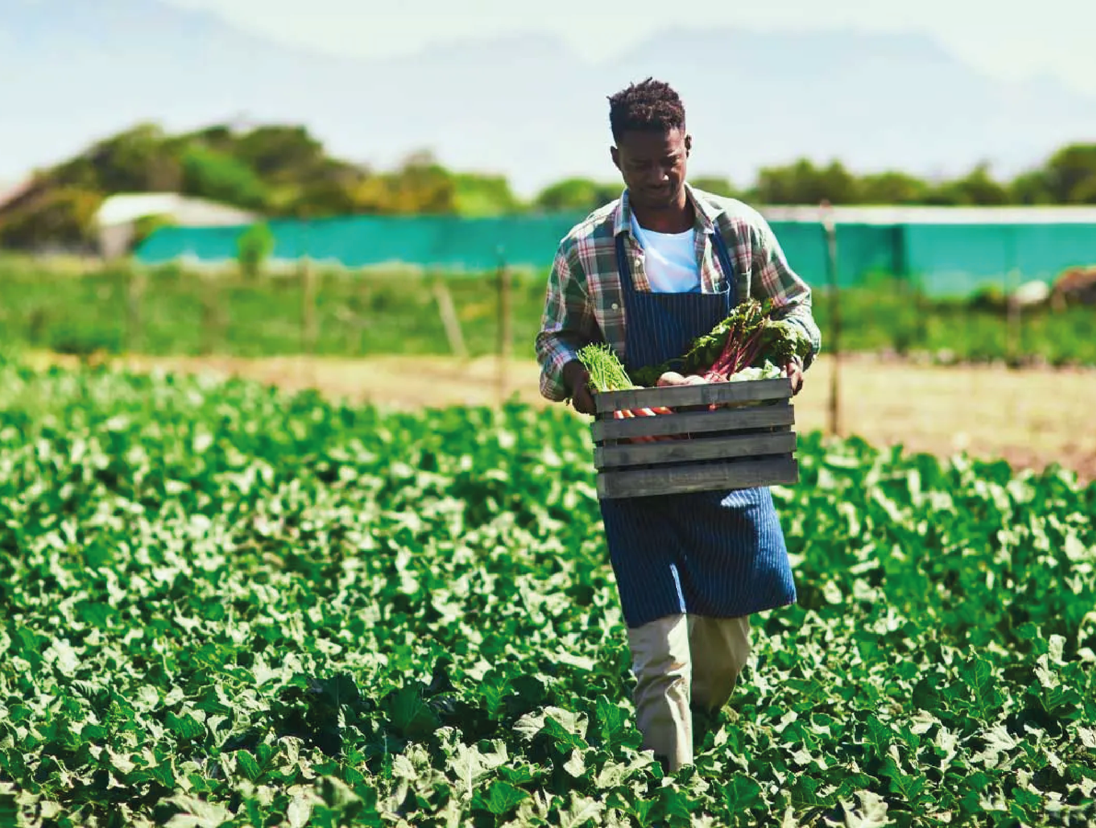 Successfully embedding sustainability