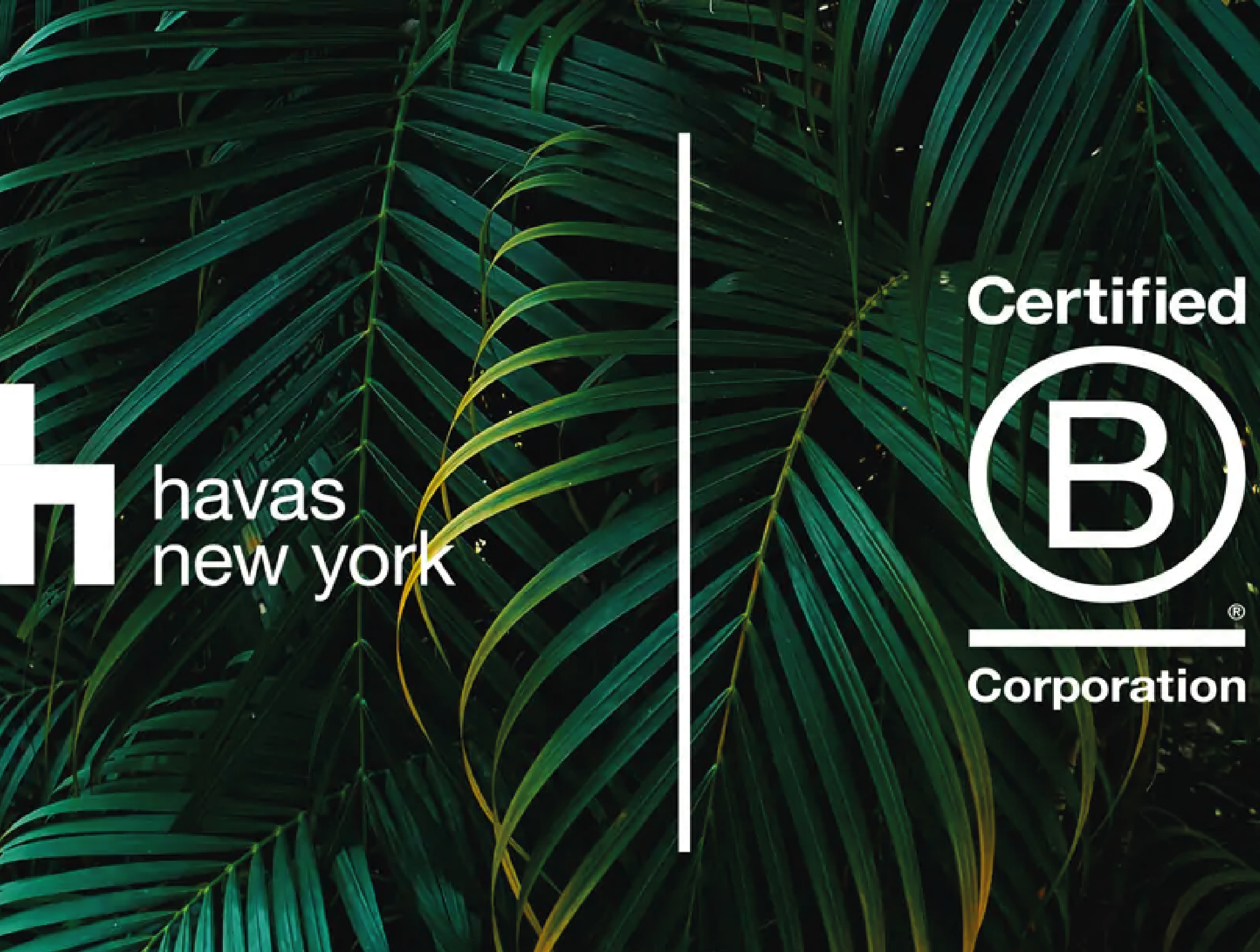 What agencies can learn from Havas New York's B Corp certification